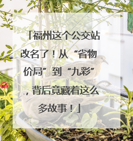 福州这个公交站改名了！从“省物价局”到“九彩”，背后竟藏着这么多故事！