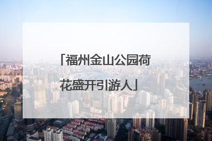 福州金山公园荷花盛开引游人