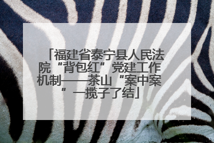 福建省泰宁县人民法院“背包红”党建工作机制——茶山“案中案”一揽子了结
