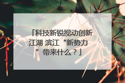 科技新锐搅动创新江湖 滨江“新势力”带来什么？