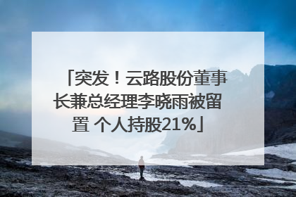 突发！云路股份董事长兼总经理李晓雨被留置 个人持股21%