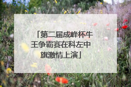 第二届成峰杯牛王争霸赛在科左中旗激情上演