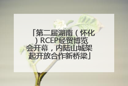 第二届湖南（怀化）RCEP经贸博览会开幕，内陆山城架起开放合作新桥梁