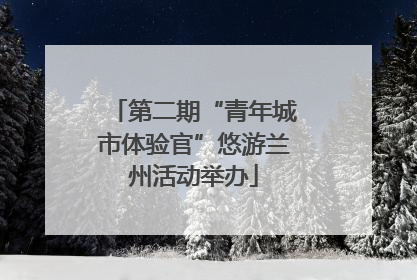 第二期“青年城市体验官”悠游兰州活动举办