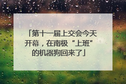 第十一届上交会今天开幕，在南极“上班”的机器狗回来了