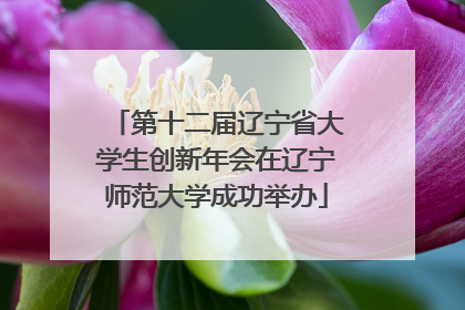 第十二届辽宁省大学生创新年会在辽宁师范大学成功举办