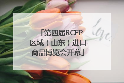 第四届RCEP区域（山东）进口商品博览会开幕