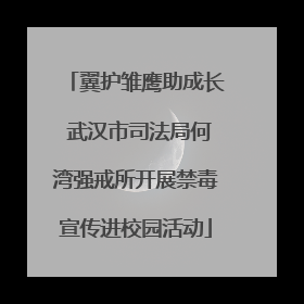 翼护雏鹰助成长 武汉市司法局何湾强戒所开展禁毒宣传进校园活动