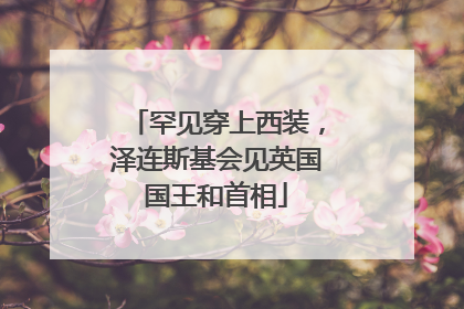 罕见穿上西装，泽连斯基会见英国国王和首相