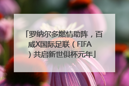 罗纳尔多燃情助阵，百威X国际足联（FIFA）共启新世俱杯元年