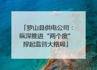 罗山县供电公司：纵深推进“两个度” 撑起监督大格局