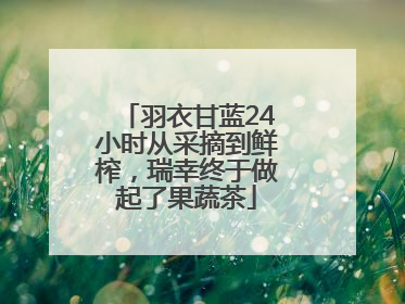 羽衣甘蓝24小时从采摘到鲜榨，瑞幸终于做起了果蔬茶