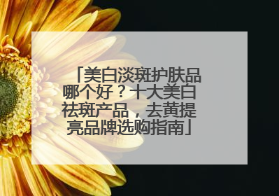 美白淡斑护肤品哪个好？十大美白祛斑产品，去黄提亮品牌选购指南