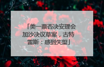 美一票否决安理会加沙决议草案，古特雷斯：感到失望