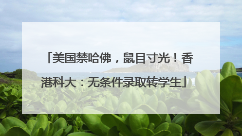 美国禁哈佛，鼠目寸光！香港科大：无条件录取转学生