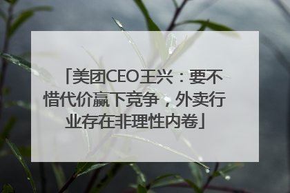美团CEO王兴：要不惜代价赢下竞争，外卖行业存在非理性内卷