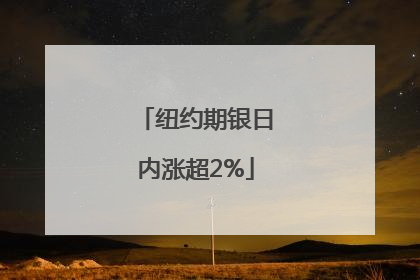 纽约期银日内涨超2%