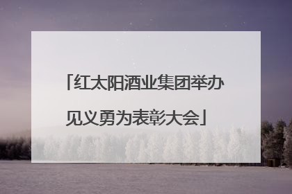 红太阳酒业集团举办见义勇为表彰大会