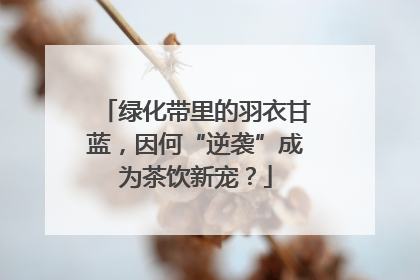 绿化带里的羽衣甘蓝，因何“逆袭”成为茶饮新宠？