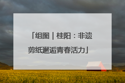 组图|桂阳:非遗剪纸邂逅青春活力
