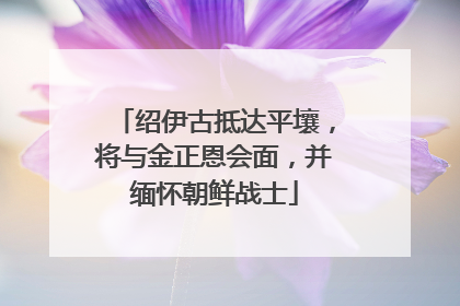 绍伊古抵达平壤，将与金正恩会面，并缅怀朝鲜战士