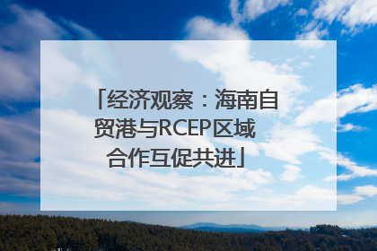经济观察：海南自贸港与RCEP区域合作互促共进
