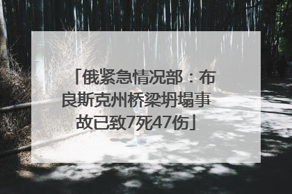 俄紧急情况部：布良斯克州桥梁坍塌事故已致7死47伤