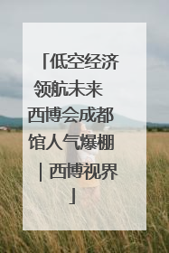 低空经济领航未来 西博会成都馆人气爆棚｜西博视界