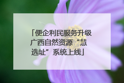 便企利民服务升级 广西自然资源“慧选址”系统上线