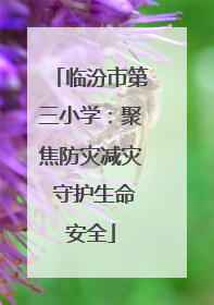 临汾市第三小学：聚焦防灾减灾 守护生命安全
