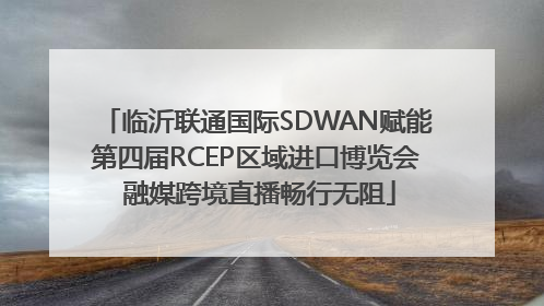 临沂联通国际SDWAN赋能第四届RCEP区域进口博览会 融媒跨境直播畅行无阻