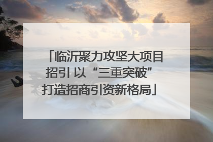 临沂聚力攻坚大项目招引 以“三重突破”打造招商引资新格局