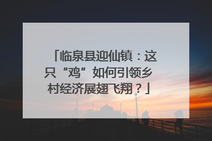 临泉县迎仙镇：这只“鸡”如何引领乡村经济展翅飞翔？
