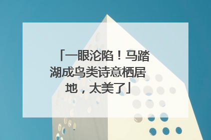一眼沦陷！马踏湖成鸟类诗意栖居地，太美了