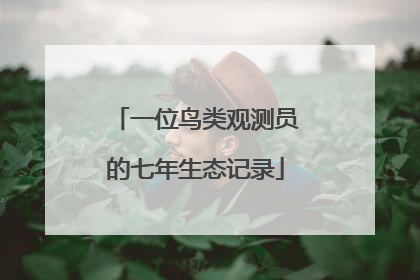一位鸟类观测员的七年生态记录