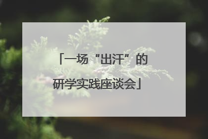 一场“出汗”的研学实践座谈会