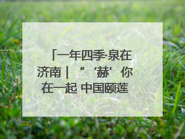 一年四季·泉在济南｜“‘赫’你在一起 中国颐莲喷雾节”盛大开启 共赴水润之约