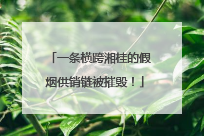 一条横跨湘桂的假烟供销链被摧毁！