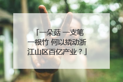 一朵菇 一支笔 一根竹 何以撬动浙江山区百亿产业？