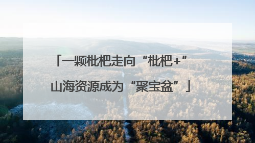一颗枇杷走向“枇杷+” 山海资源成为“聚宝盆”