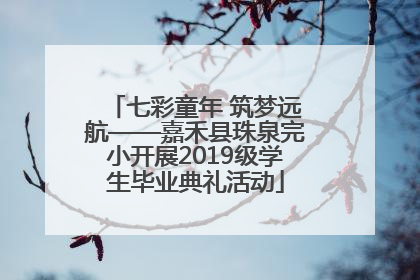 七彩童年 筑梦远航——嘉禾县珠泉完小开展2019级学生毕业典礼活动