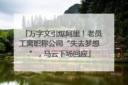 万字文引爆阿里！老员工离职称公司“失去梦想”，马云下场回应