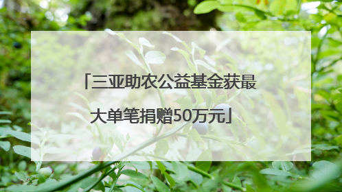 三亚助农公益基金获最大单笔捐赠50万元