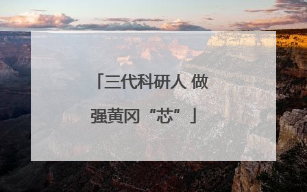 三代科研人 做强黄冈“芯”