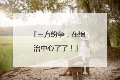 三方纷争，在综治中心了了！