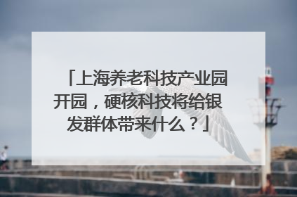 上海养老科技产业园开园，硬核科技将给银发群体带来什么？