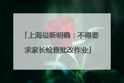 上海最新明确：不得要求家长检查批改作业