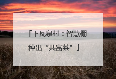 下瓦泉村：智慧棚种出“共富菜”