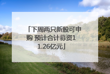下周两只新股可申购 预计合计募资11.26亿元
