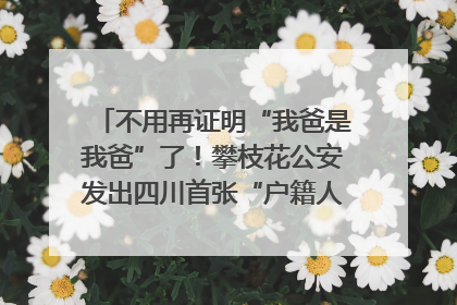不用再证明“我爸是我爸”了！攀枝花公安发出四川首张“户籍人口直系亲属关系谱”